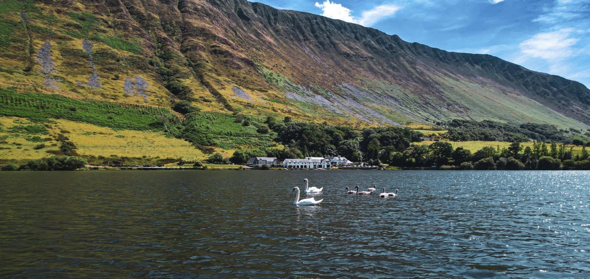 Tynycornel Hotel Tal-y-llyn Zewnętrze zdjęcie