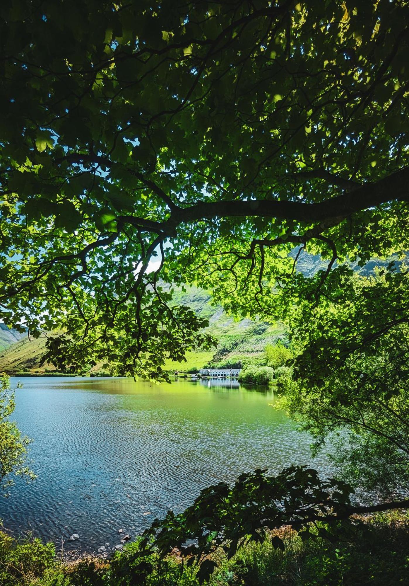 Tynycornel Hotel Tal-y-llyn Zewnętrze zdjęcie